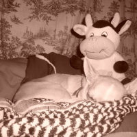 j'adore dormire