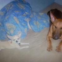 moi et mon pote :D