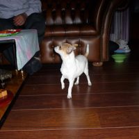 Photo #132373 de Diego
