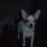 Photo #132379 de Diego