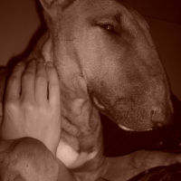 Photo #132601 de Drasko