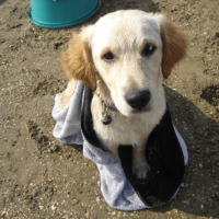 Photo #132847 de Youki