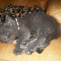 Photo #133075 de Eliott