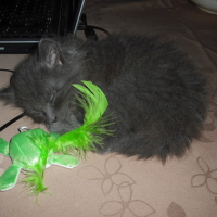 Photo #133081 de Eliott