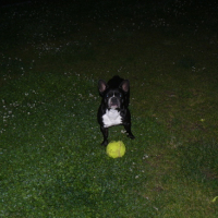 Photo #133201 de Arko