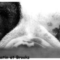 Photo #133675 de Brooks