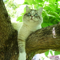 Photo #133861 de Djazz