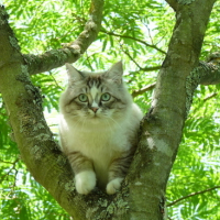 Photo #133867 de Djazz