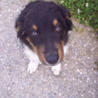 Photo #134009 de Dayko