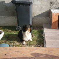 Photo #134021 de Dayko