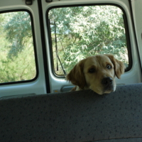 Photo #134323 de Youki