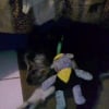 photo0319