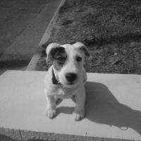 Photo #134473 de Vernon