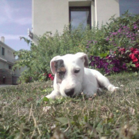 Photo #134479 de Vernon