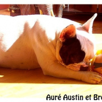 Photo #134809 de Brooks