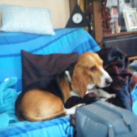 Photo #134881 de Diego