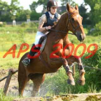 Photo #135091 de Minate