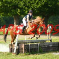 Photo #135109 de Minate