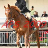 Photo #135115 de Minate