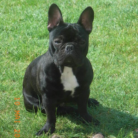 Photo #135265 de Riddick