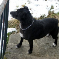 Photo #135313 de Penny
