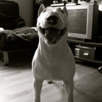 Photo #135835 de Cypress