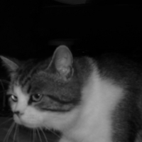 Photo #136189 de Orphée