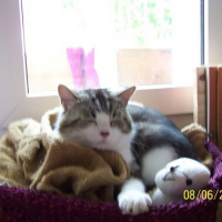 Photo #136903 de Orphée