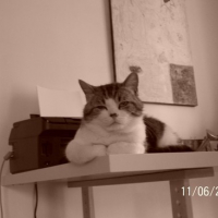 Photo #136909 de Orphée