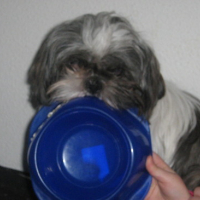 Photo #137083 de Cannelle