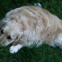 Photo #137221 de Prisca