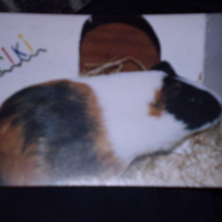 Photo #137281 de Riki