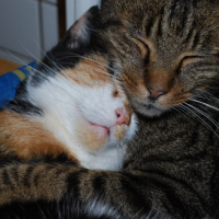 Photo #138247 de Zoé