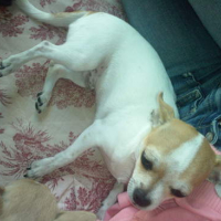 Photo #138433 de Diego