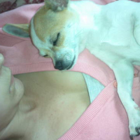 Photo #138439 de Diego