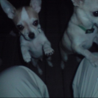 Photo #138451 de Diego