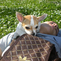 Photo #138457 de Diego