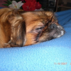 CIMG0056