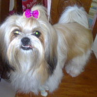 Photo #139081 de Precious