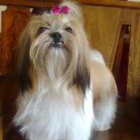 Photo #139087 de Precious