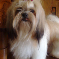 Photo #139093 de Precious