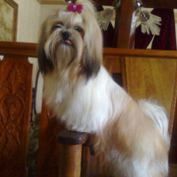 Photo #139099 de Precious