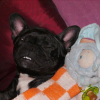 Photo_007