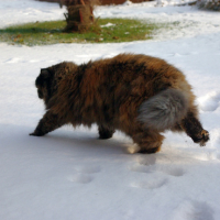 Photo #139651 de Mitsy