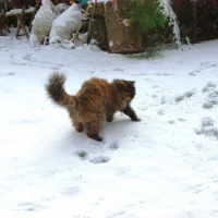 Photo #139657 de Mitsy