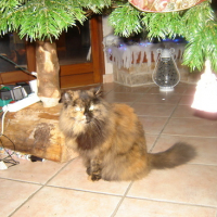 Photo #139663 de Mitsy
