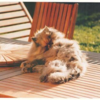Photo #139705 de Naëma