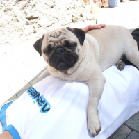 Photo #139993 de Chiara