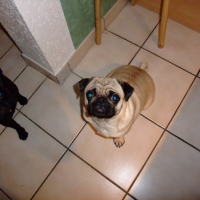 Photo #140005 de Chiara