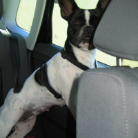 Photo #140587 de Bixi